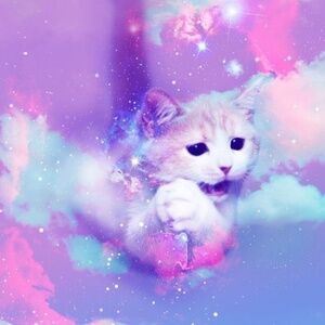 Meet your Posher, Luii